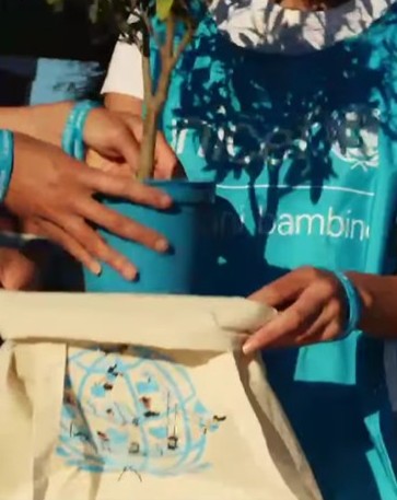 Il nostro Istituto aderisce alla Campagna Ulivo di UNICEF: un gesto che semina speranza